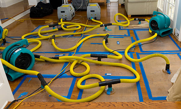 Professional Sewage Cleanup technician working in Caledonia, IL